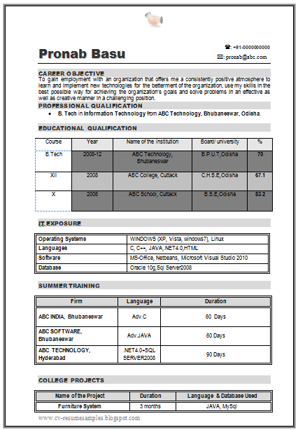 Professional Resume Format For Engineering Freshers Professional Resume Format For Engineering Freshers
